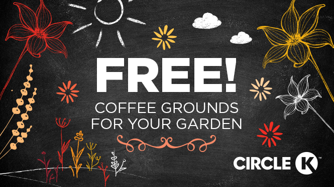 FREE! Coffee Grounds For Your Garden.