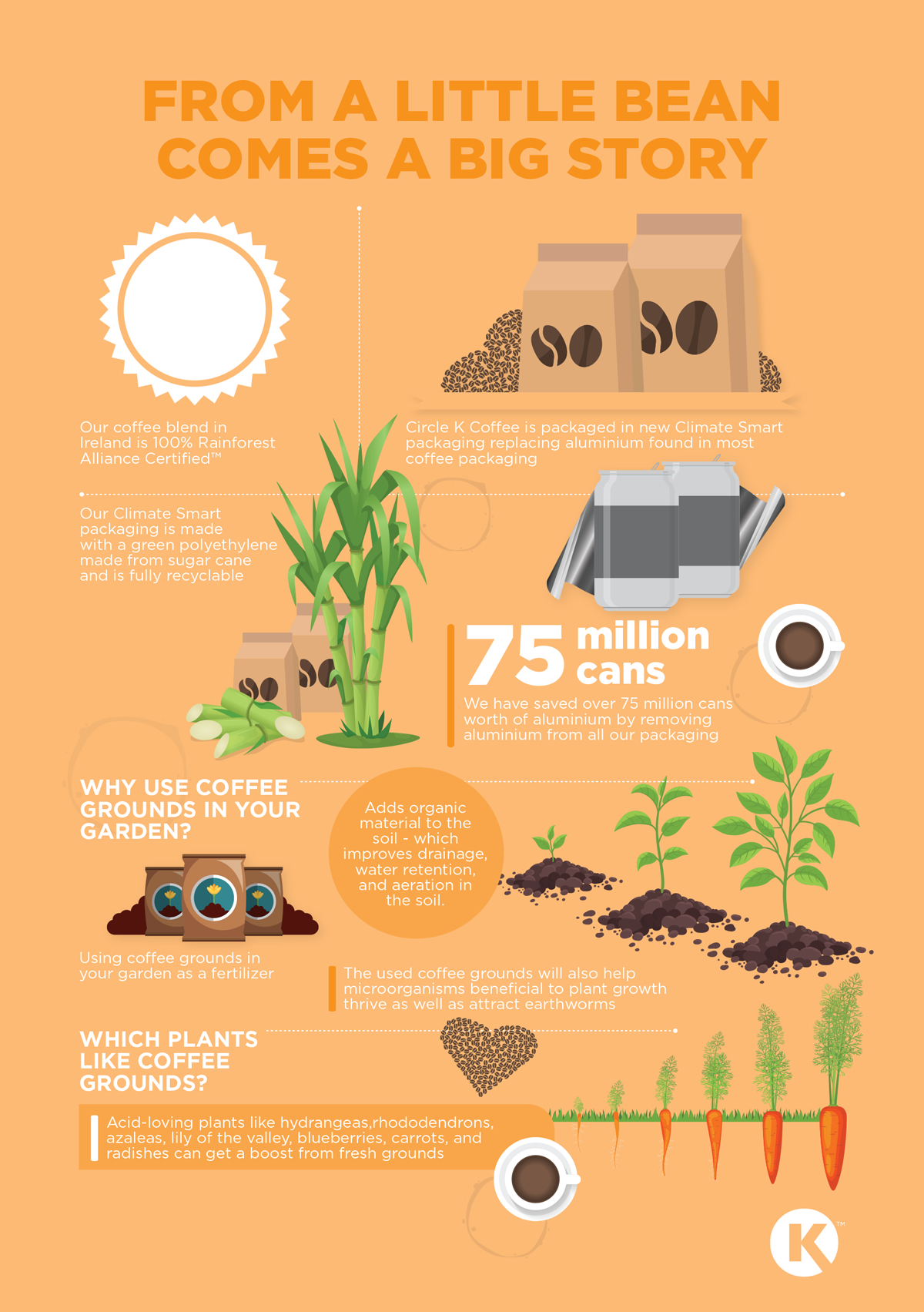Recycled Coffee Infographic